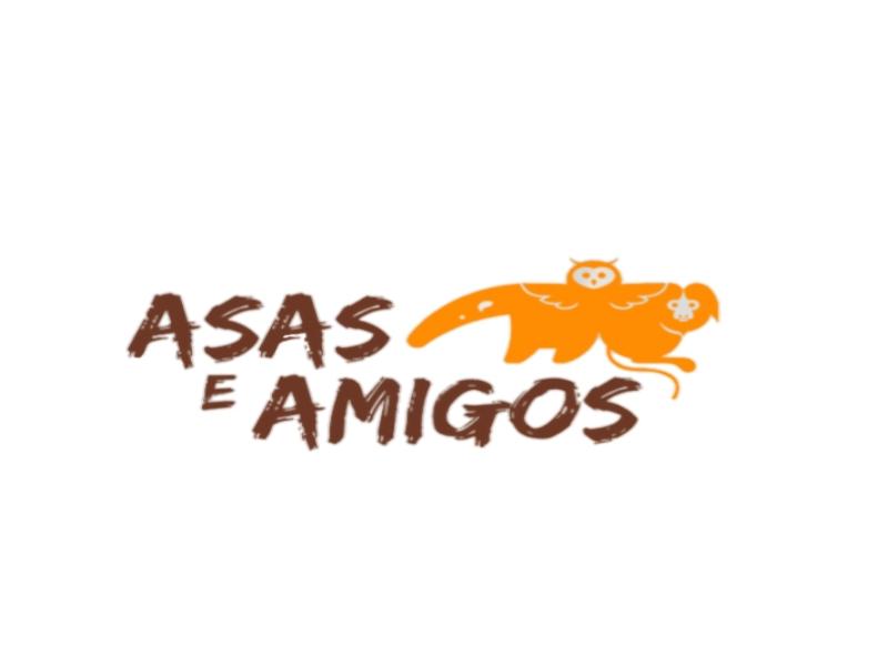 ASAS E AMIGOS